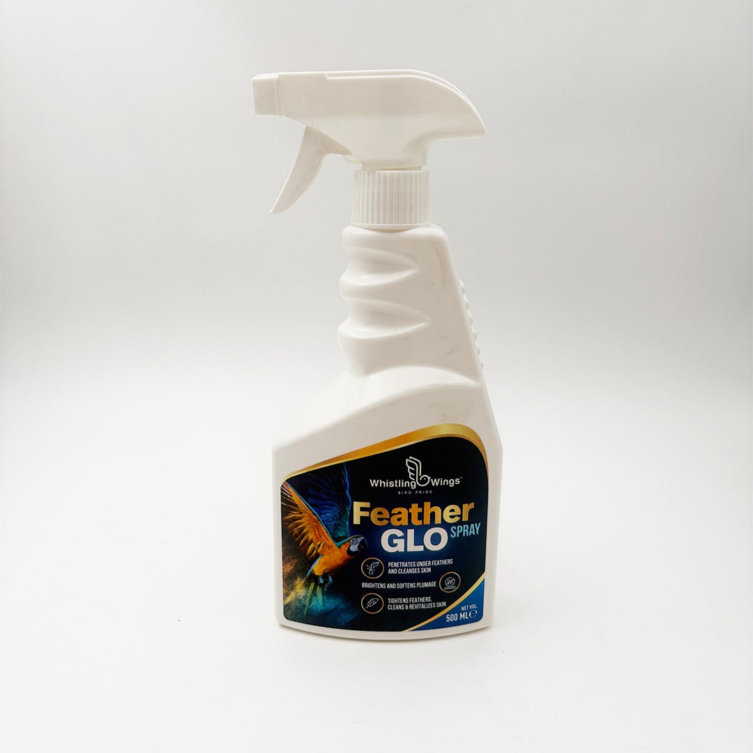 Feather Glo Spray 500ML