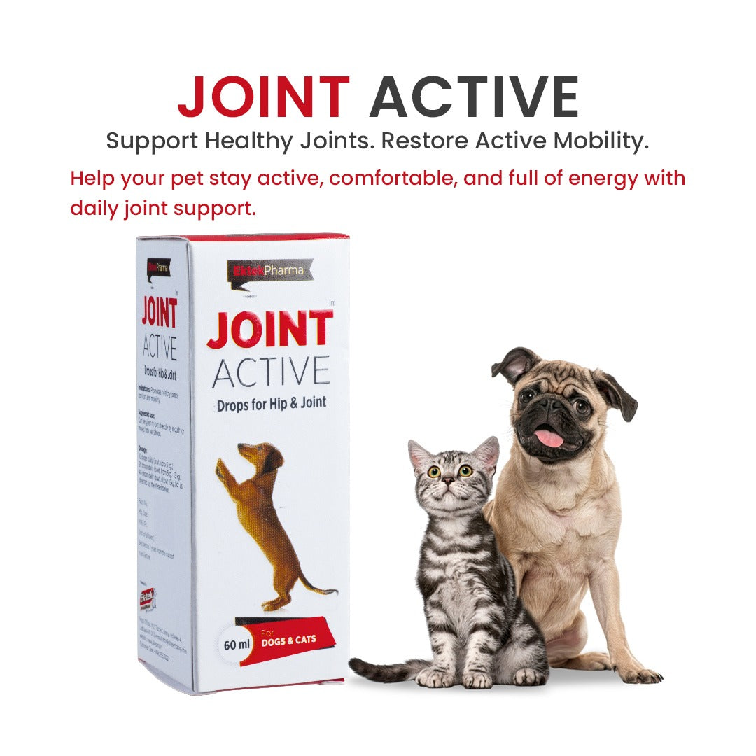 description of Joint Supplement for Dogs