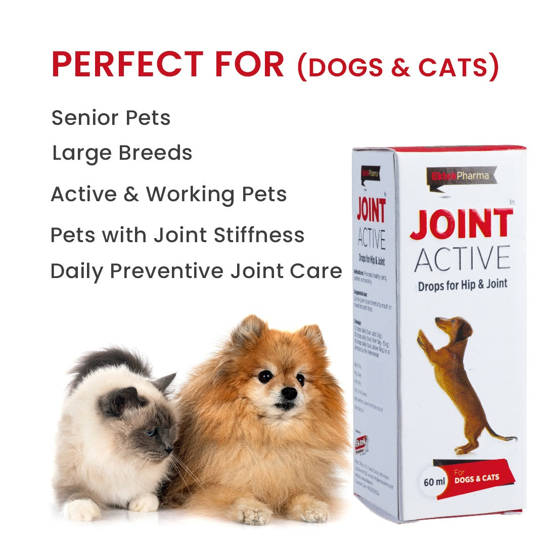 Joint Supplement for Dogs perfect for