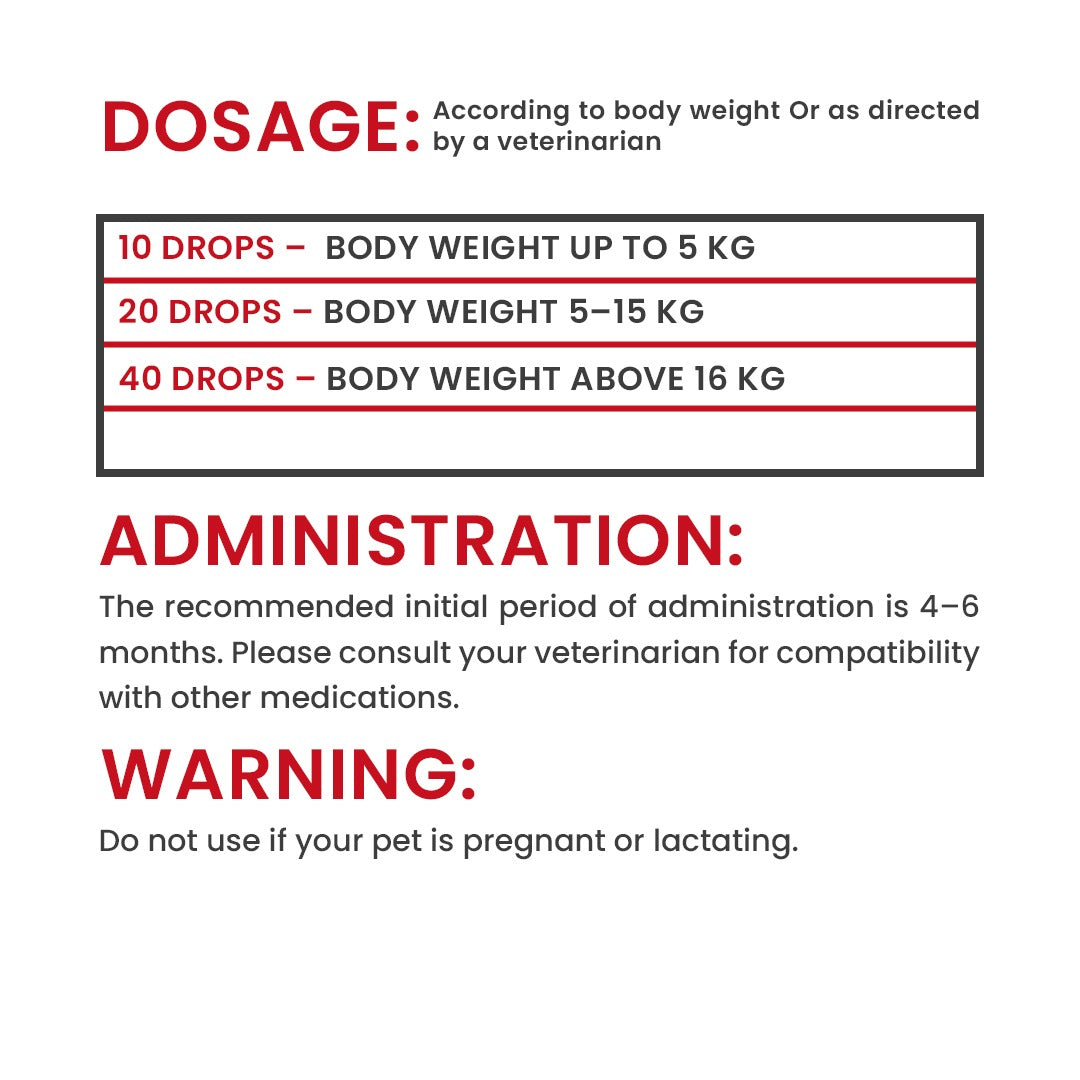 dosage of Joint Supplement for Dogs