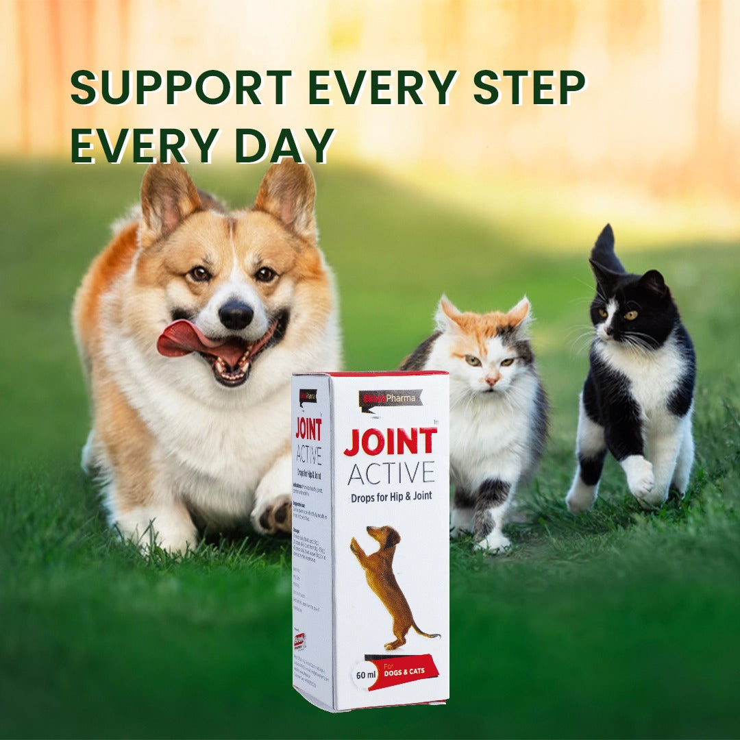 Joint Supplement for Dogs | Joint Active Drops 60ml