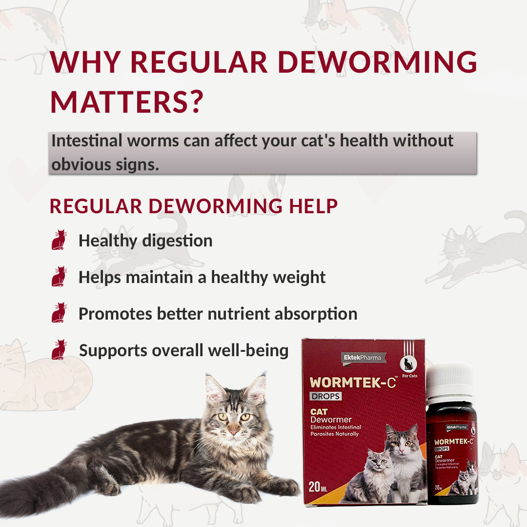 WORMTEK-C Drops for Cats Deworming Solution 20 ml (Pack of 2)