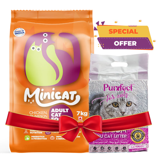 Year-end sale pet essentials combo for cats – food and litter pack