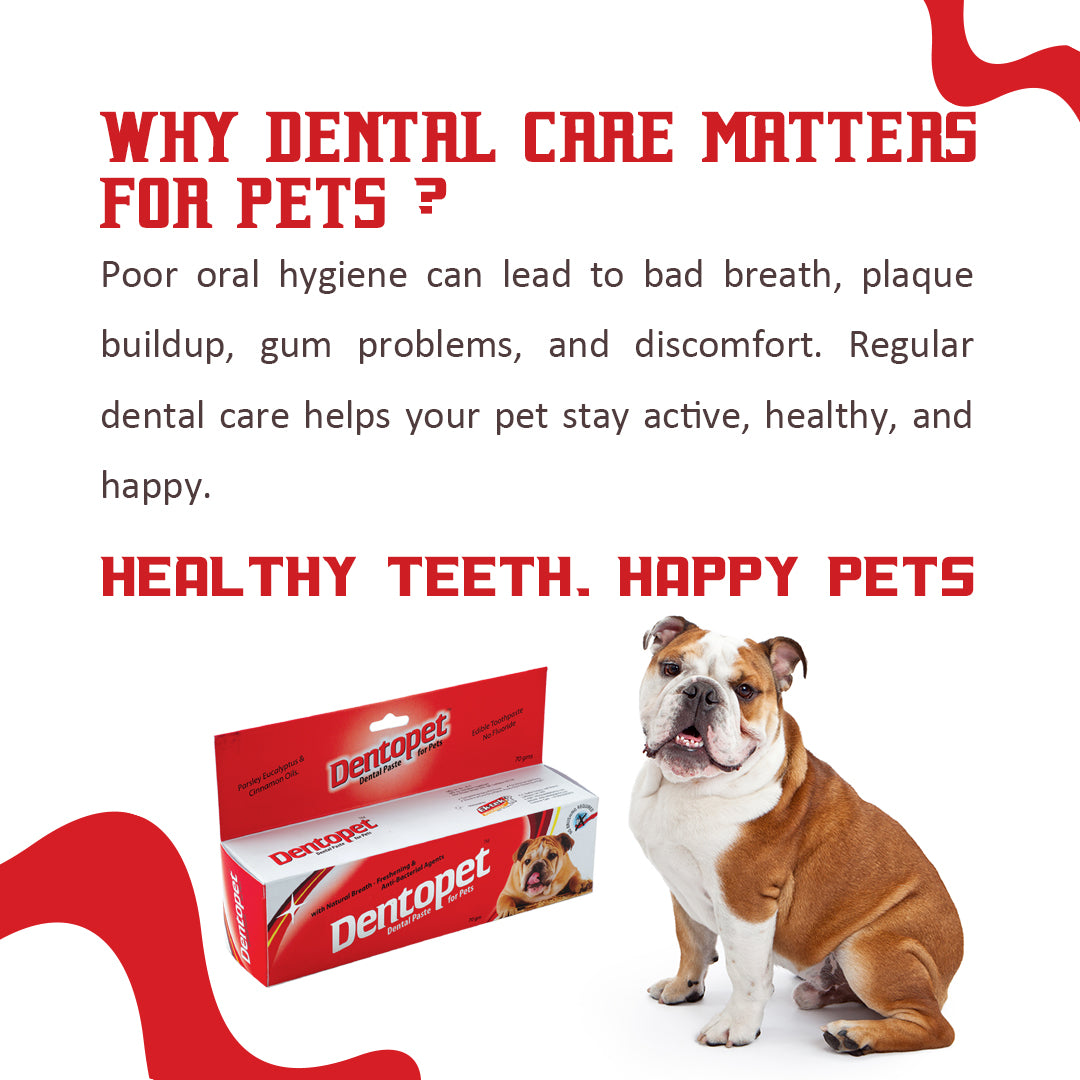 animal-toothpaste-for-dogs-cats-fresh-breath-dentopet