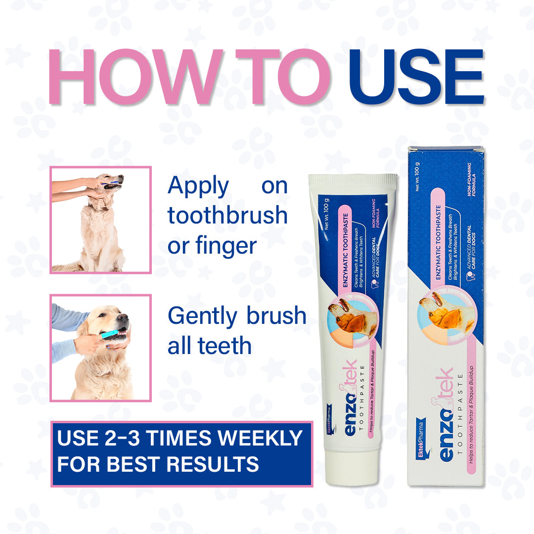 how to use Enzotek dog toothpaste