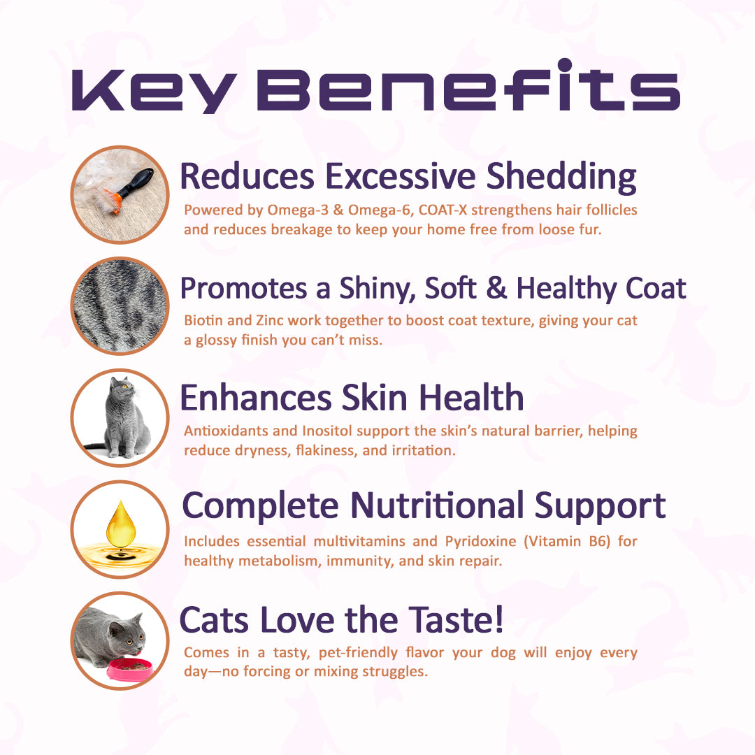 cat-skin-and-coat-nutrition-supplement