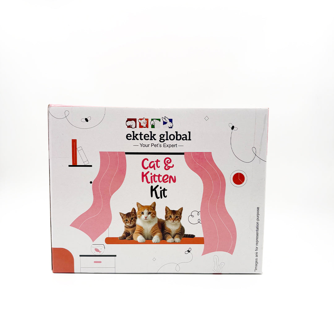 cat & kitten starter kit box combo pack sale