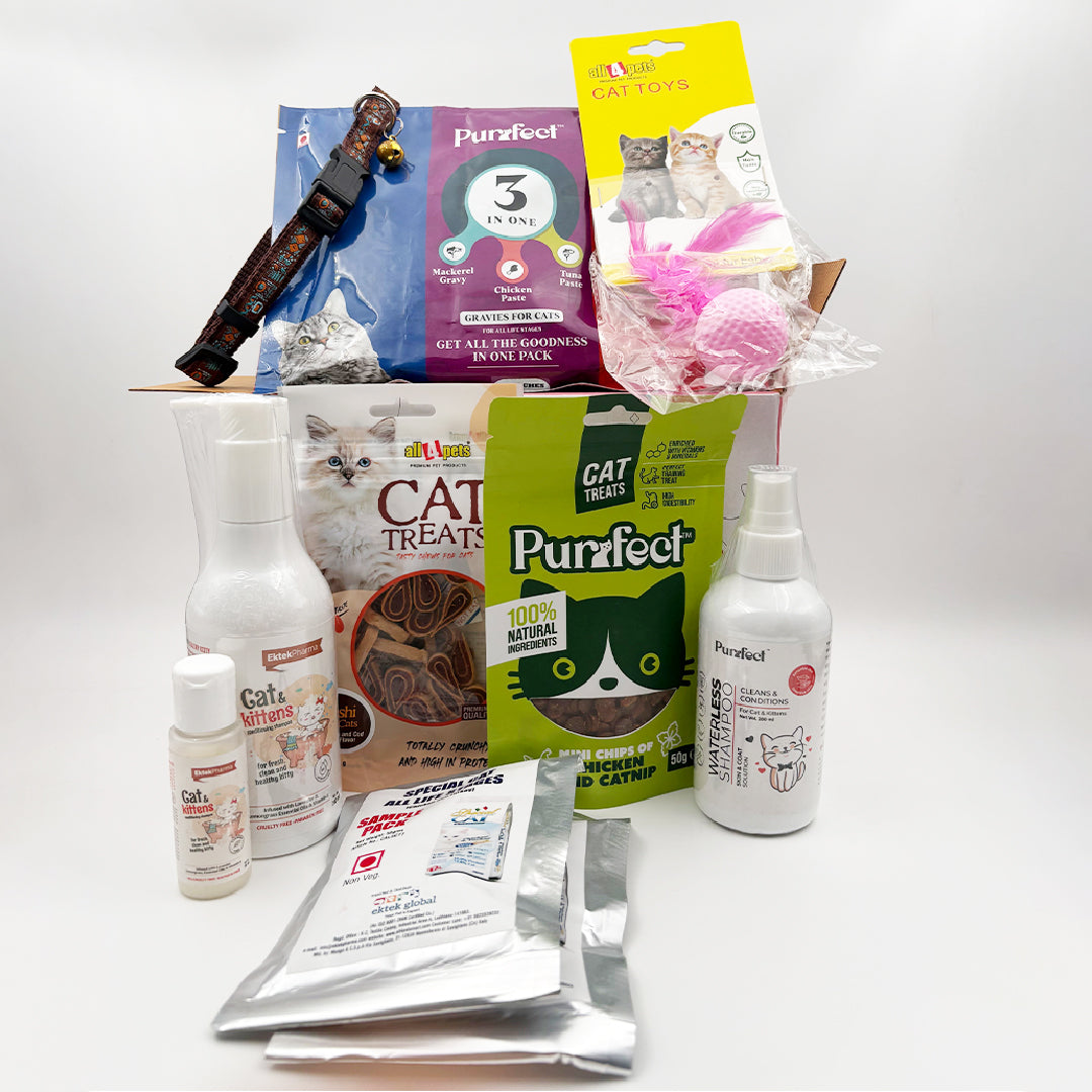 cat & kitten starter kit combo pack inside products