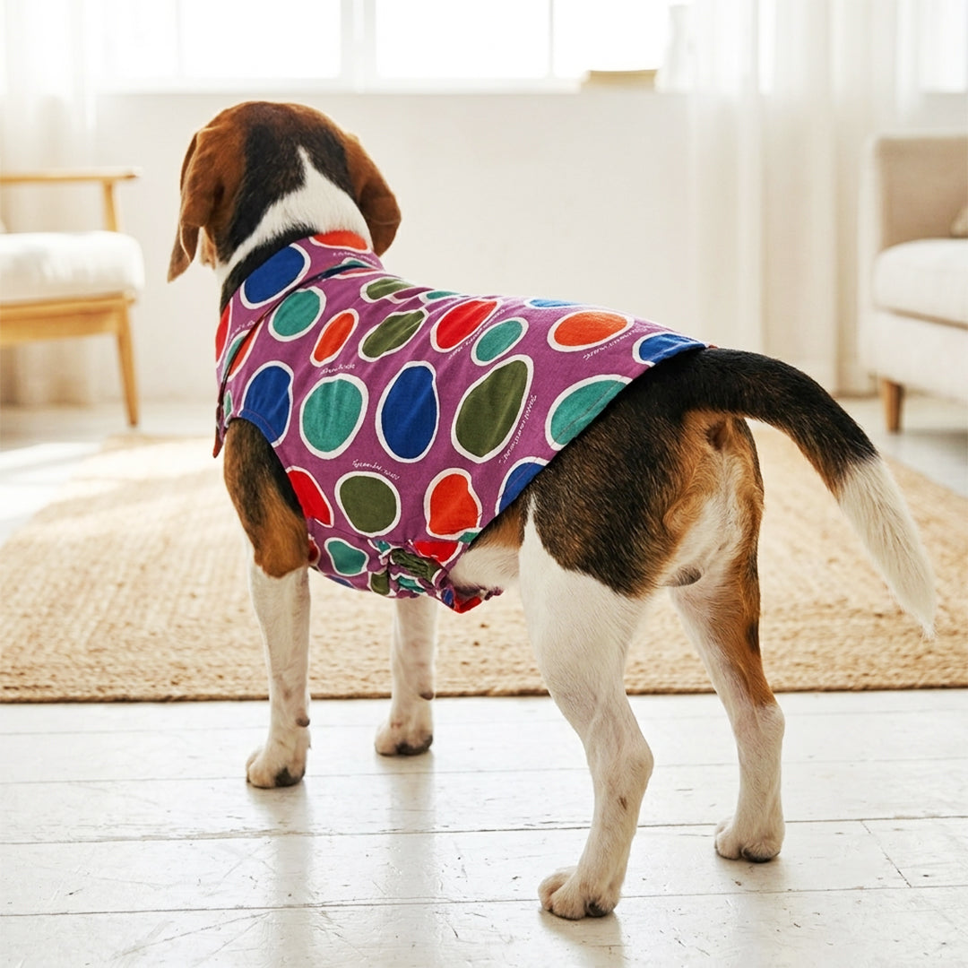 circle printed dog shirt