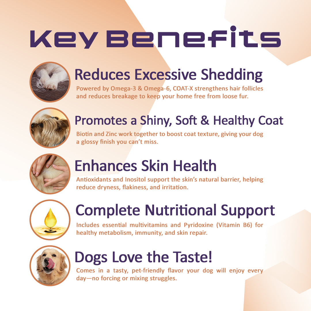 coatx-essential-skin-and-coat-support-for-dogs