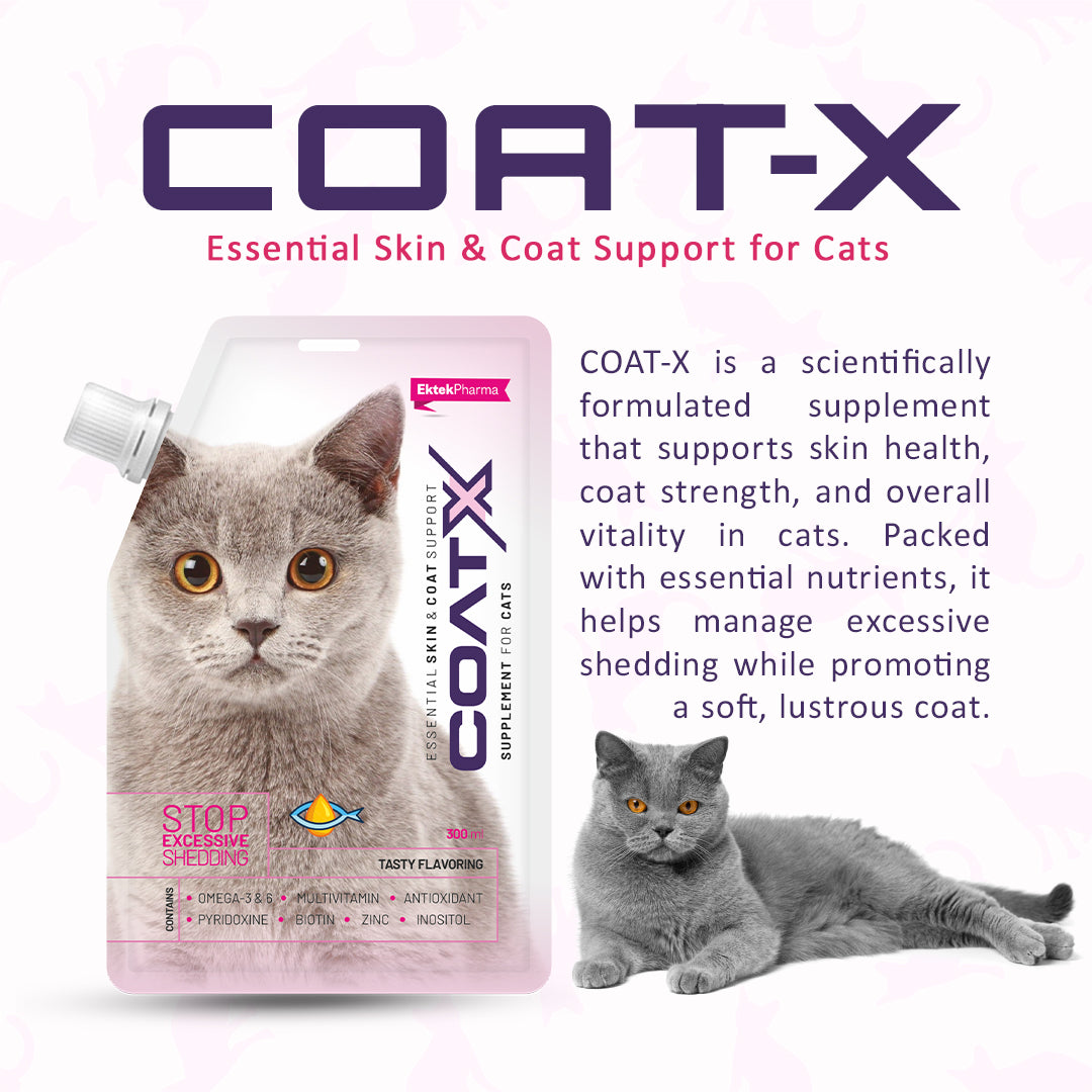 coatx-skin-and-coat-support-for-cats