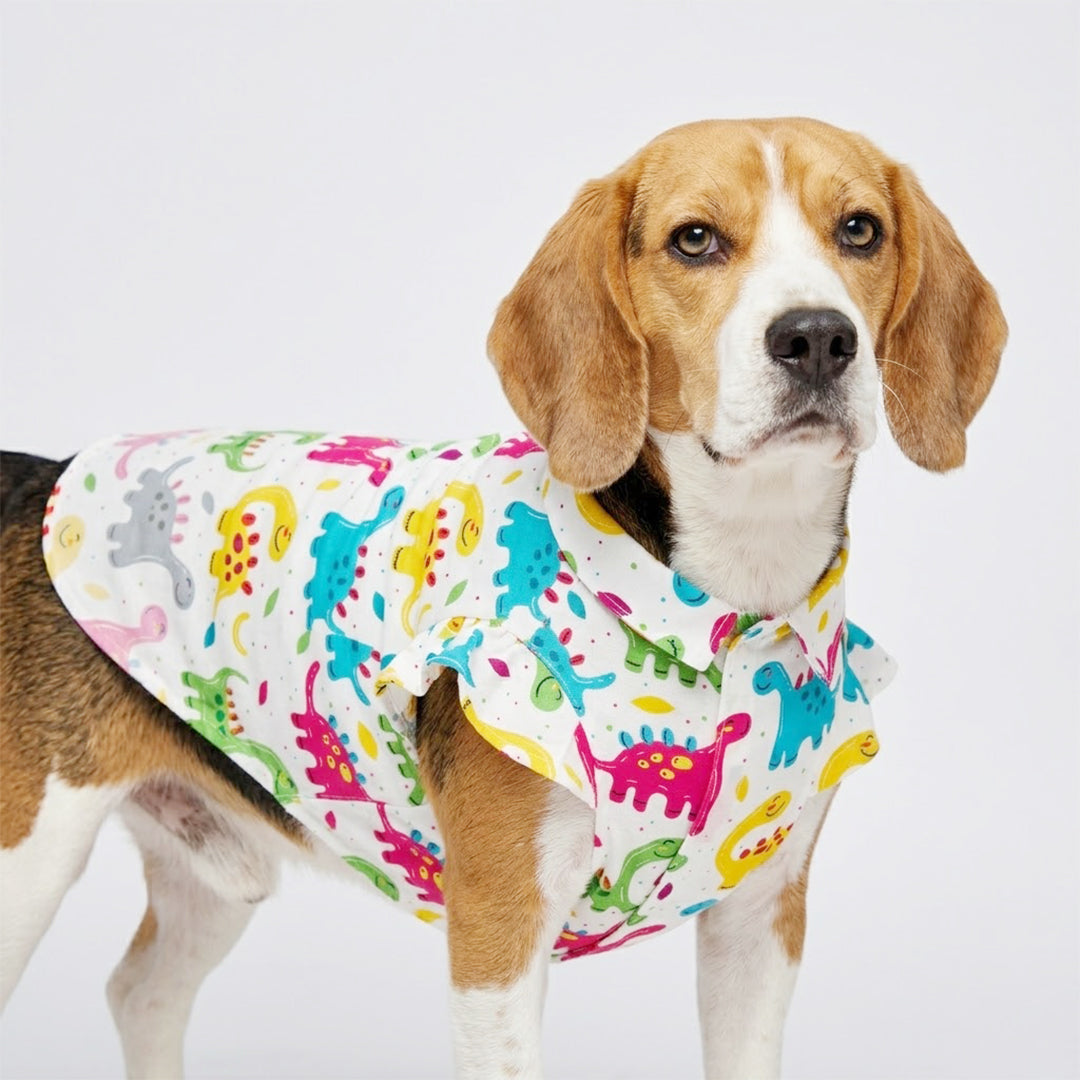 cute dog wearing colorful dog shirt