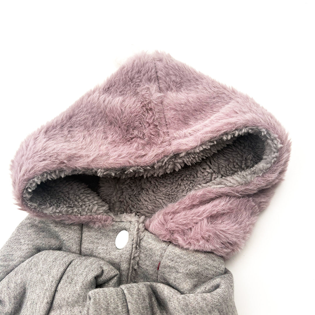 cute dog winter clothes christmas