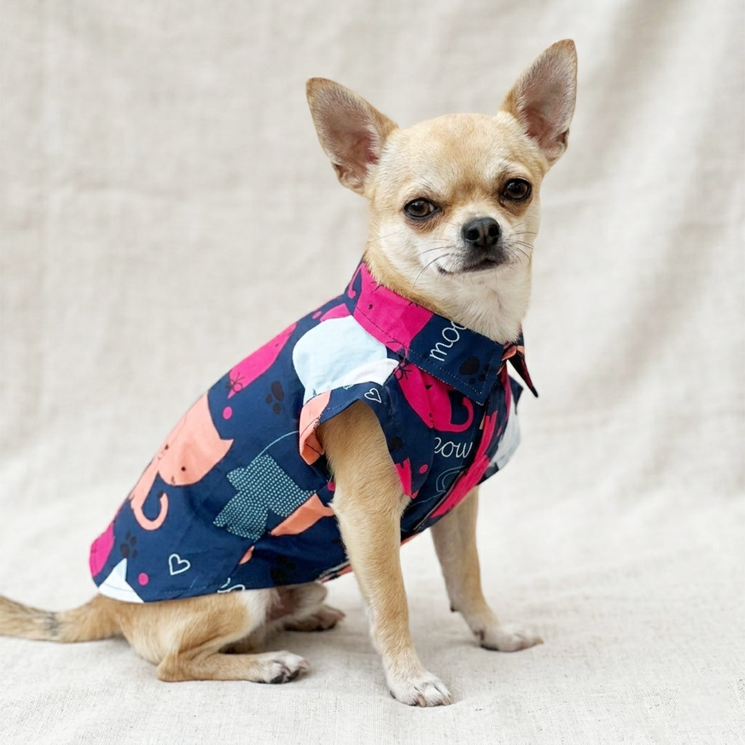 cute puppy wearing cat design shirt