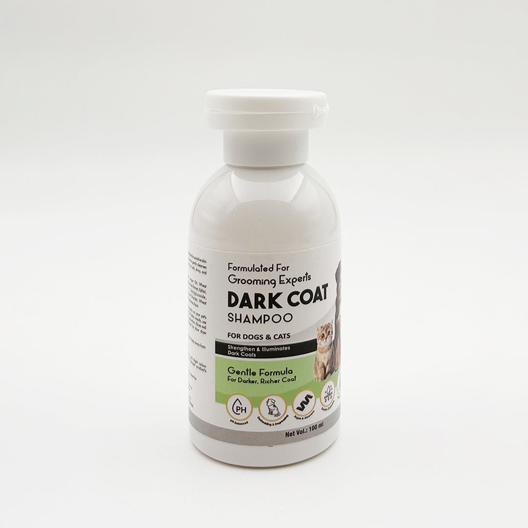 Coat Care Shampoo & Conditioner for Dogs & Cats