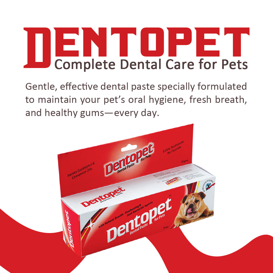 dentopet-pet-toothpaste-ektekpharma-70g