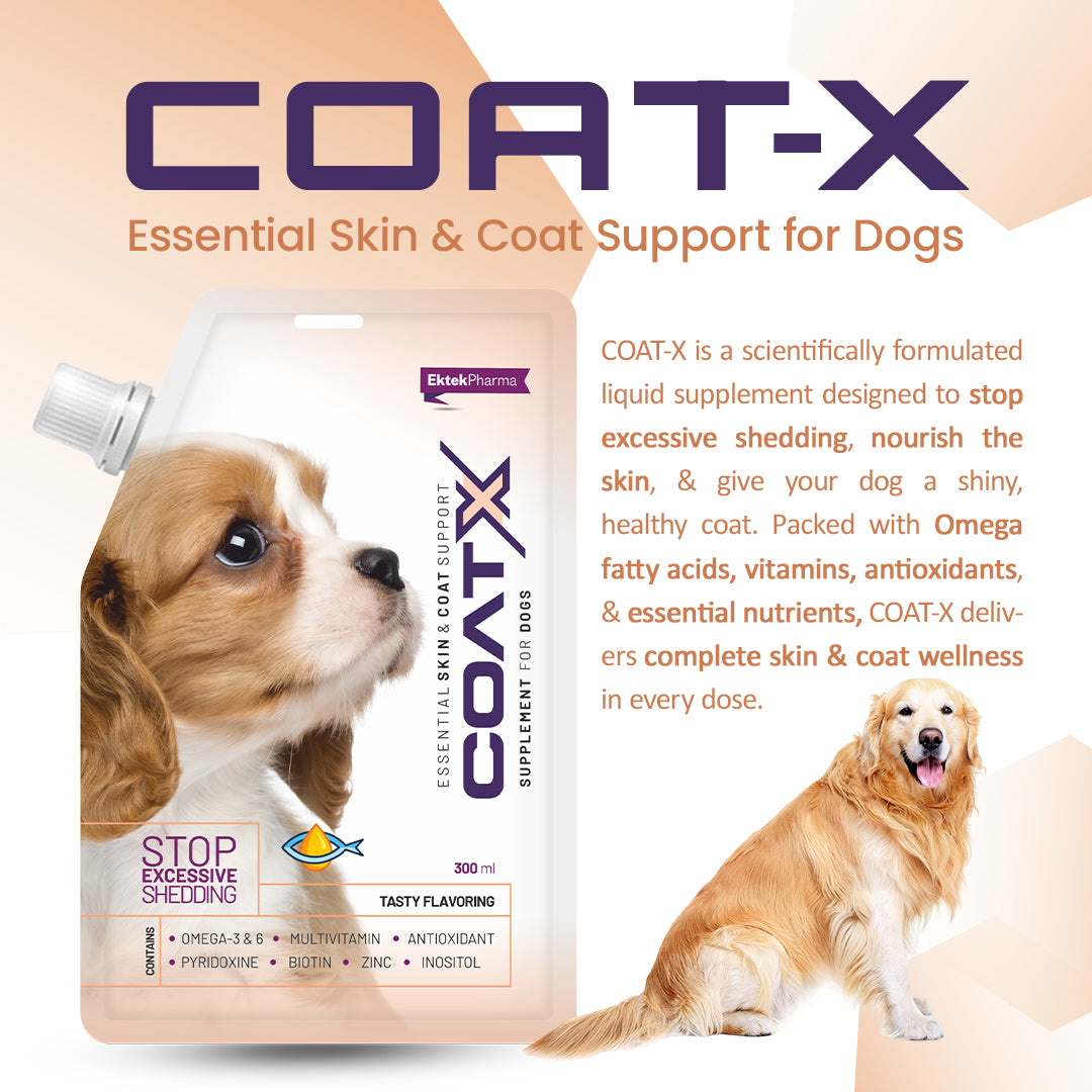 dog-skin-and-coat-support-supplement