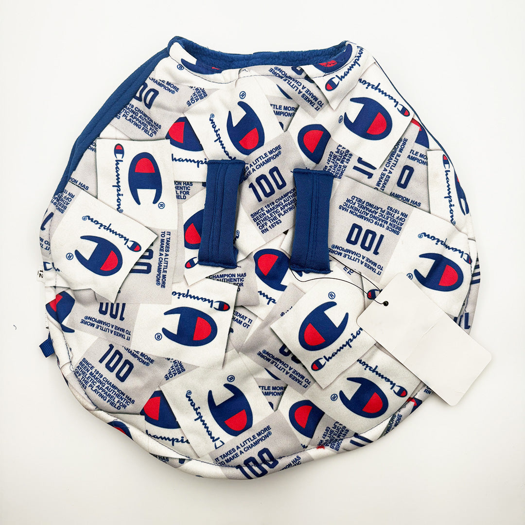 dog weari blue dual-layer winter dog coat outdoors