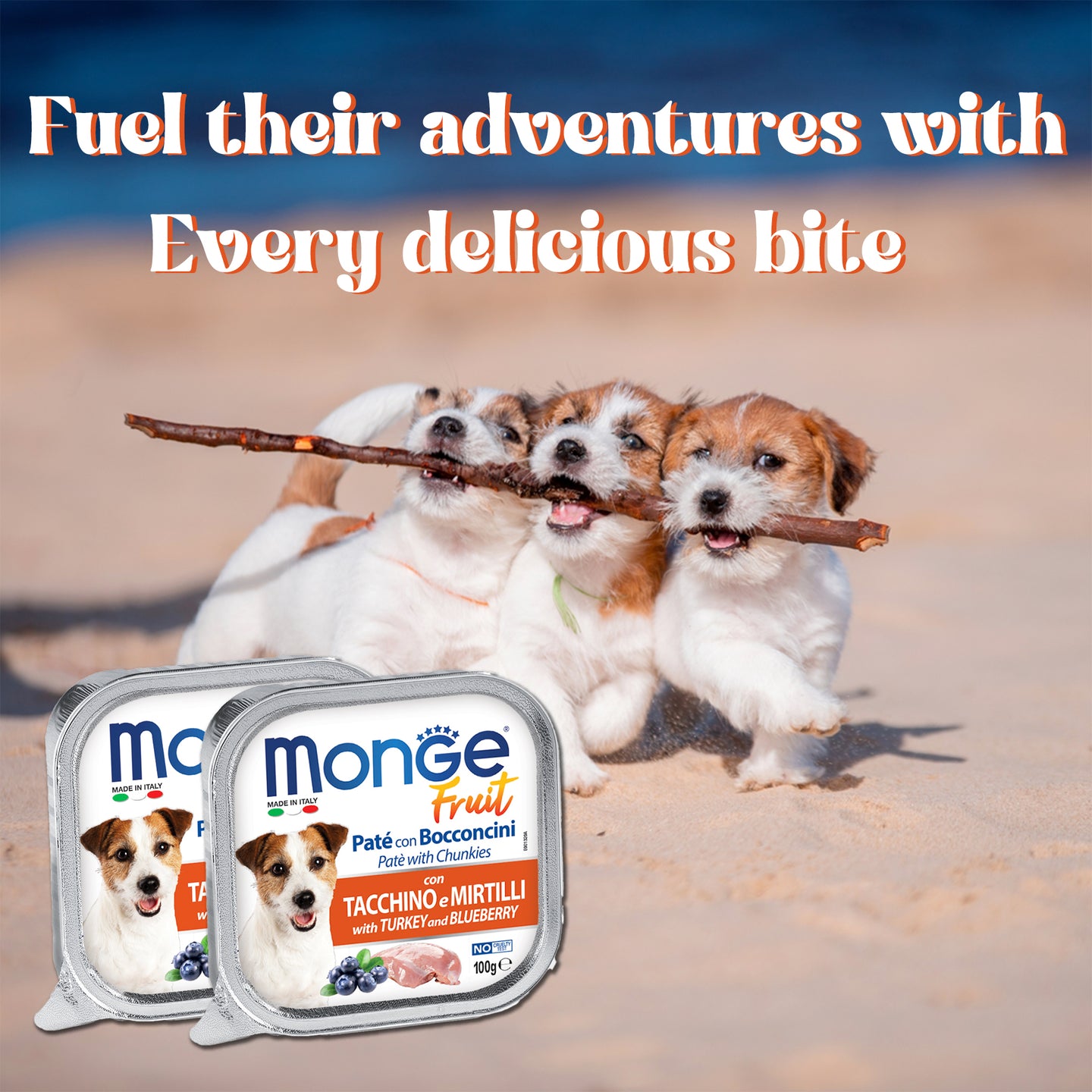 dogs-with-real-blueberry-fruit