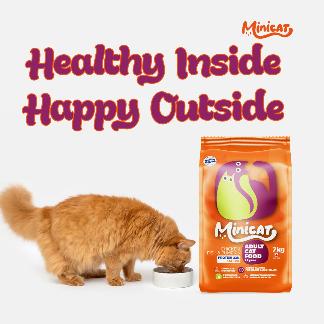 Minicat Adult Cat Food – Nourishing Chicken, Fish & Pumpkin