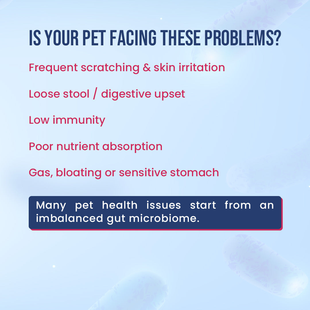 gas bloatng issue treatment for pets