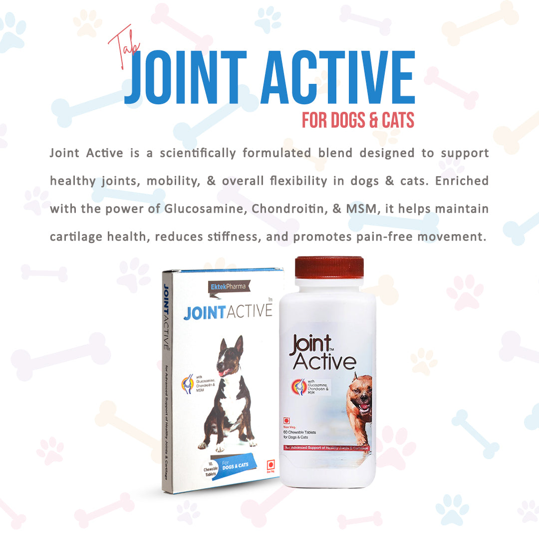 glucosamine-chondroitin-msm-pet-supplement