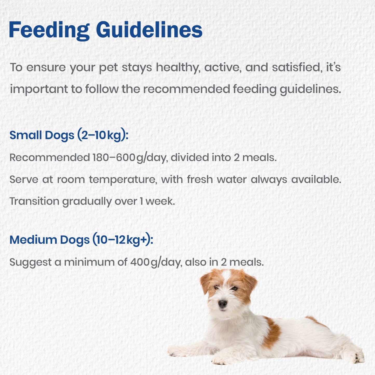 Monge Wet Dog Food Lamb & Apple – Fresh Lamb Meat 100g × 5 Pack