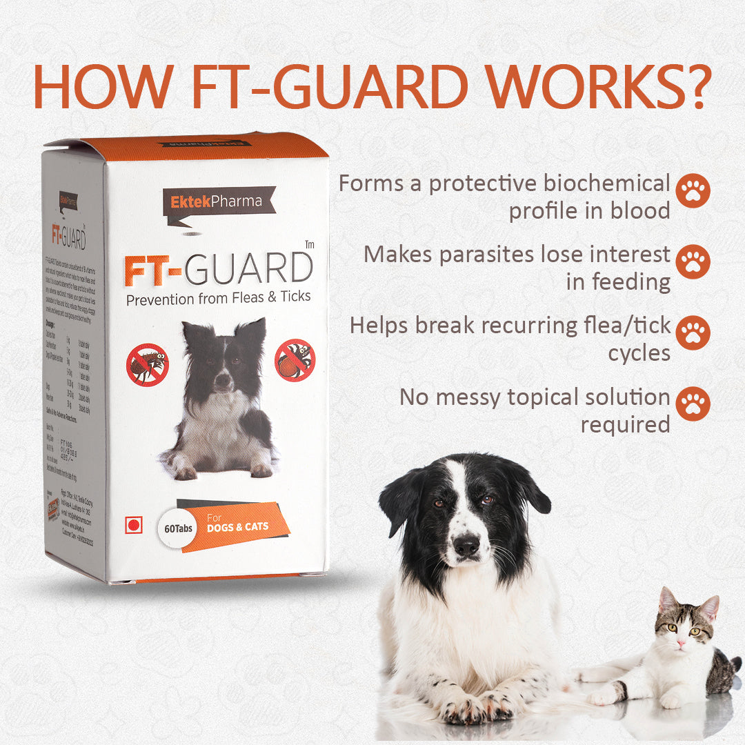 how-to-use-ft-guard-tablets