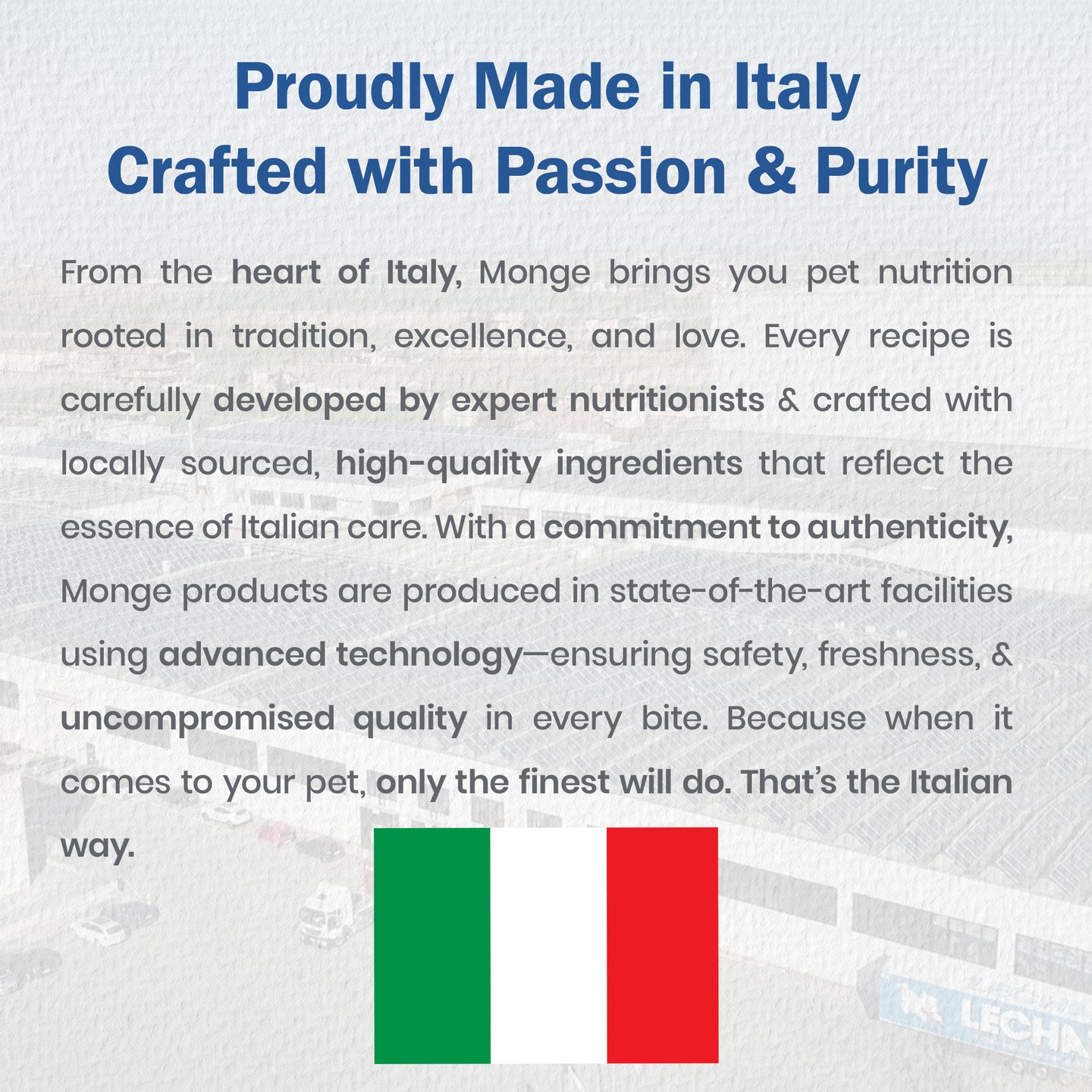 italy-meat-food-for-dogs-with-real-blueberry-fruit