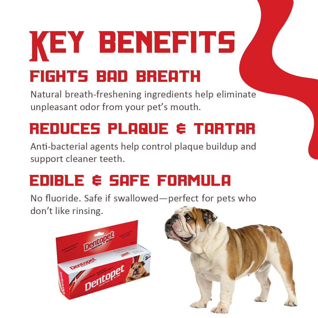 key-benefits-of-Dentopaste-for-dogs