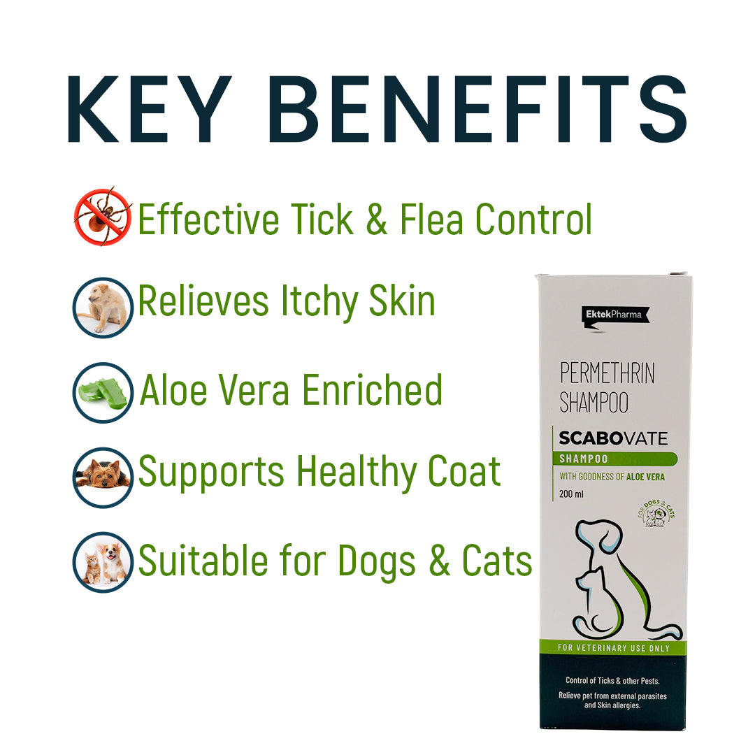 key benefits of scabovate shampoo for itchy skin and flea control
