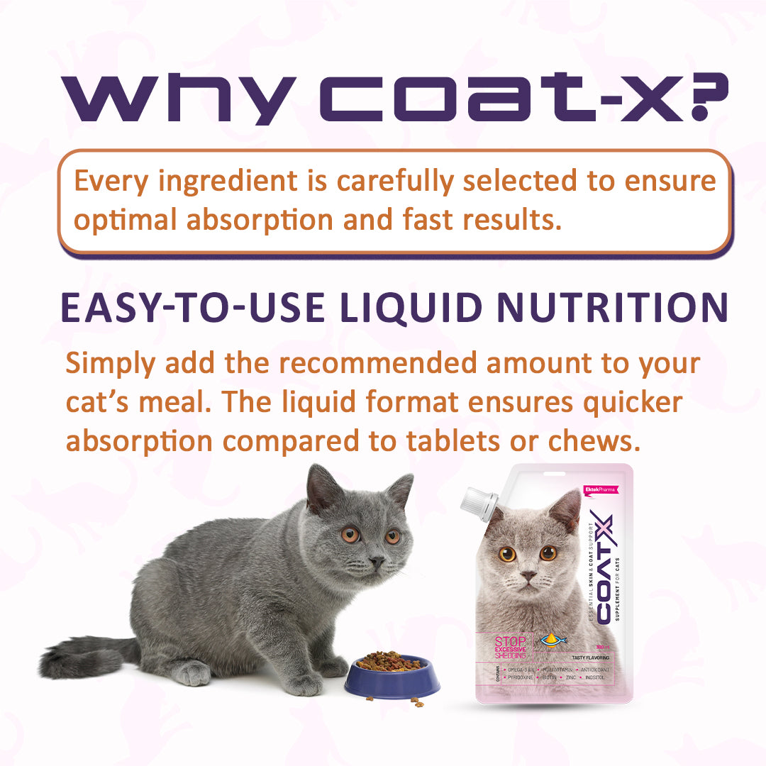liquid-coat-supplement-for-cats-ektekpharma