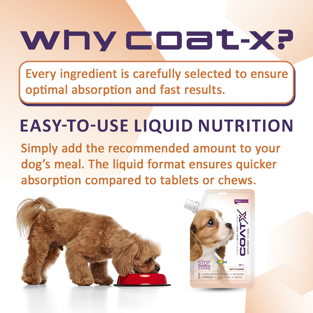 liquid-nutrition-supplement-for-dogs-ektekpharma