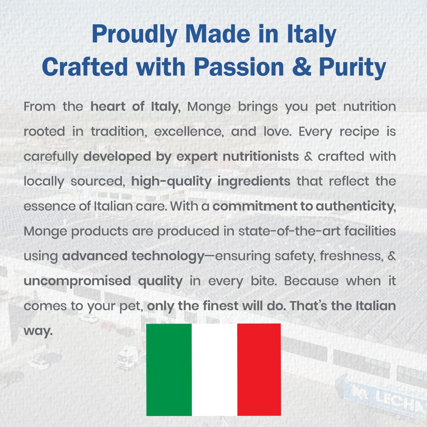 Monge Wet Dog Food Lamb & Apple – Fresh Lamb Meat 100g × 5 Pack