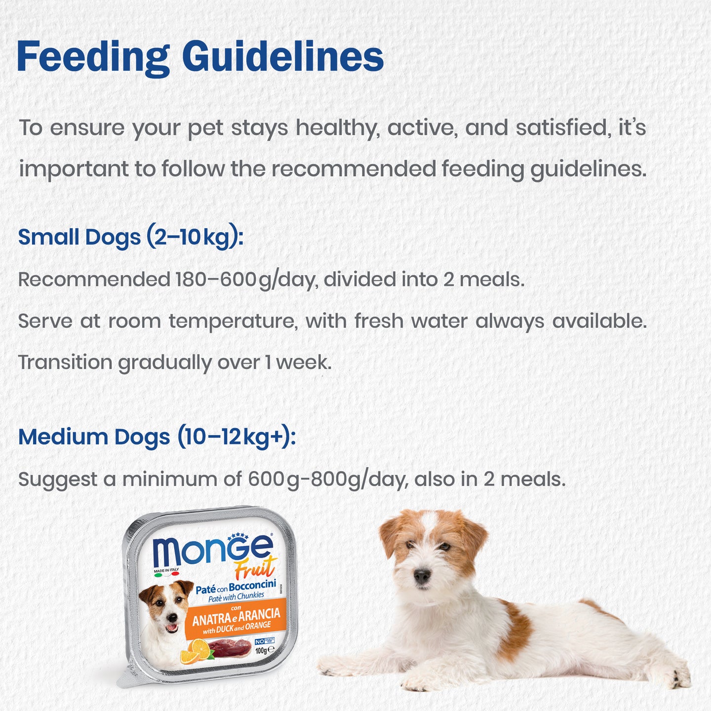 monge-wet-dog-food
