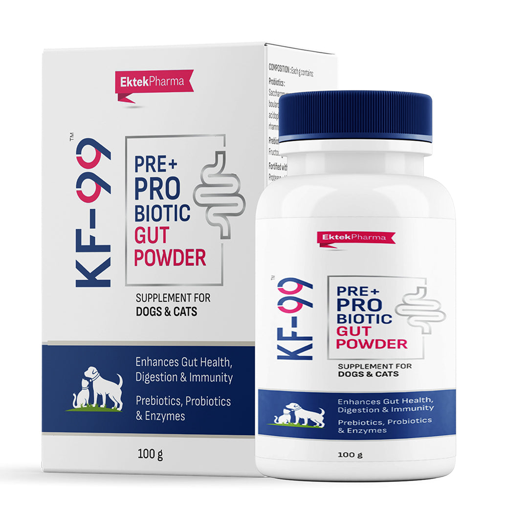 probiotic gut powder for dogs and cats 100g pet feed supplement for digestive health