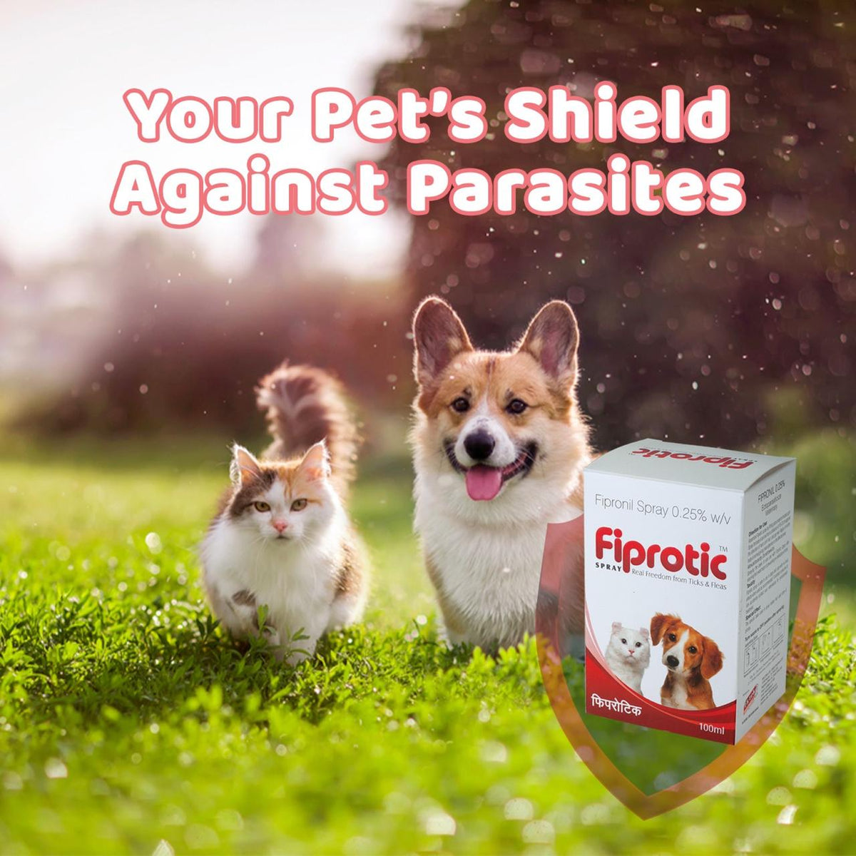 shield from flea and tick for dogs cats 