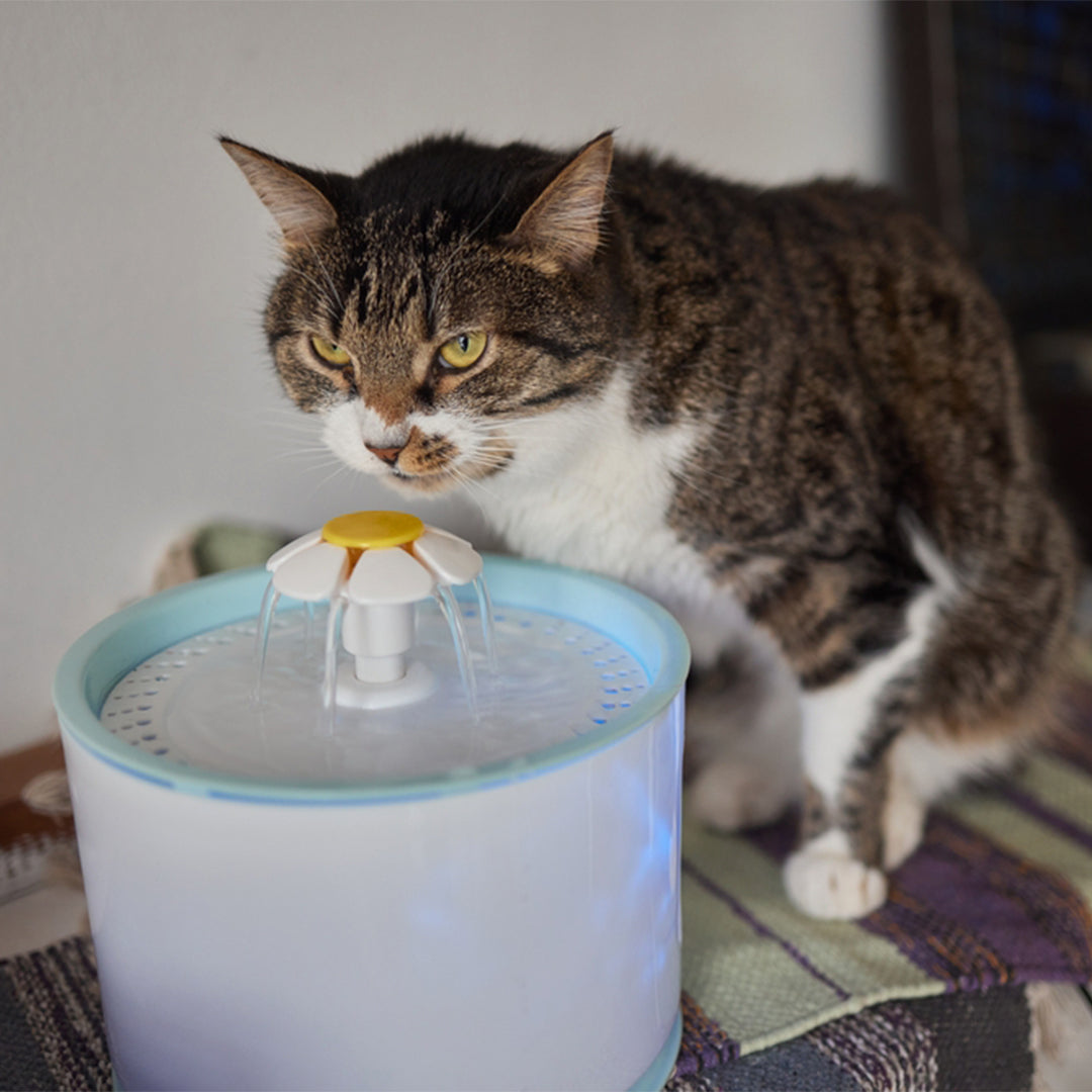 slow water dispenser machine for pets