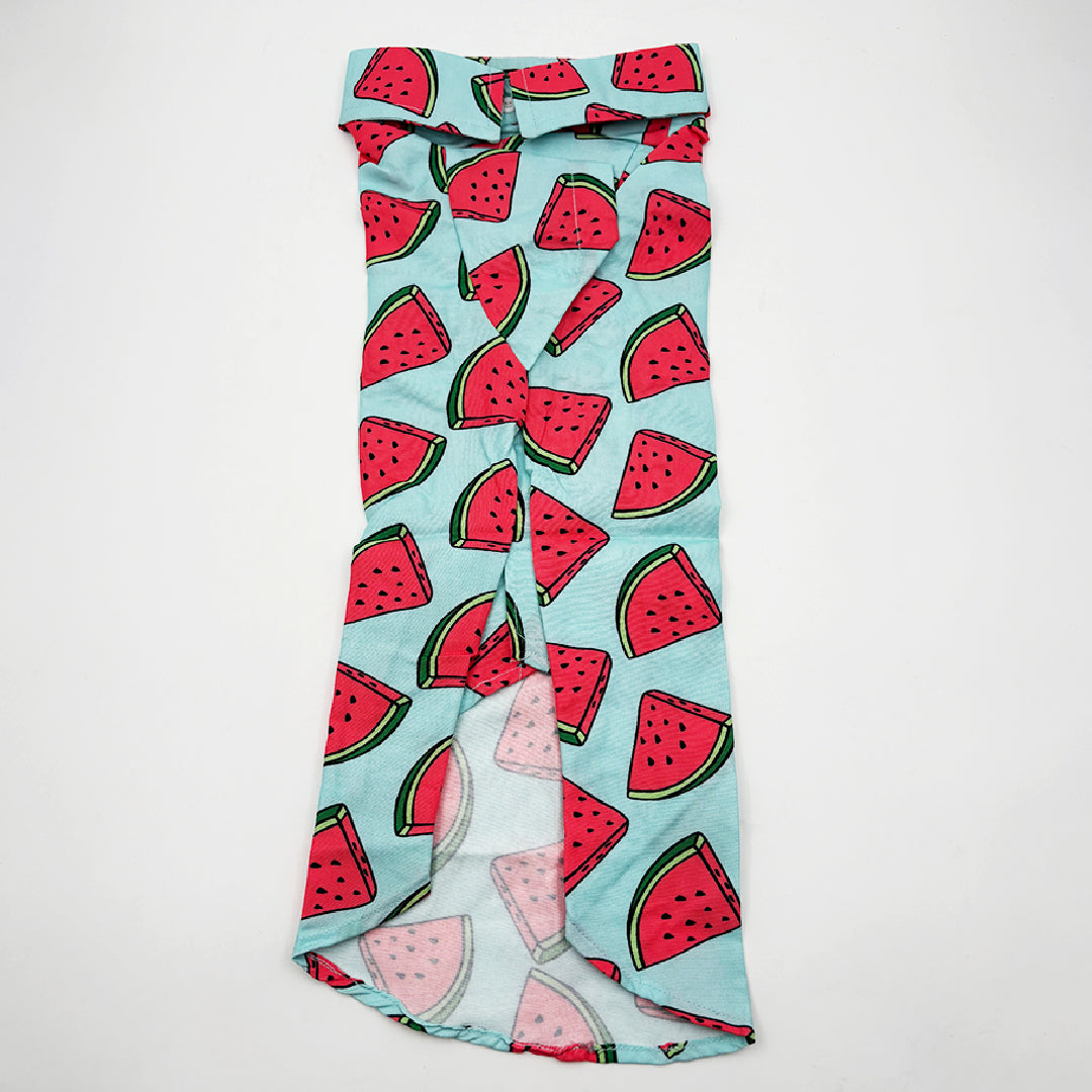 stylish dog outfit watermelon design