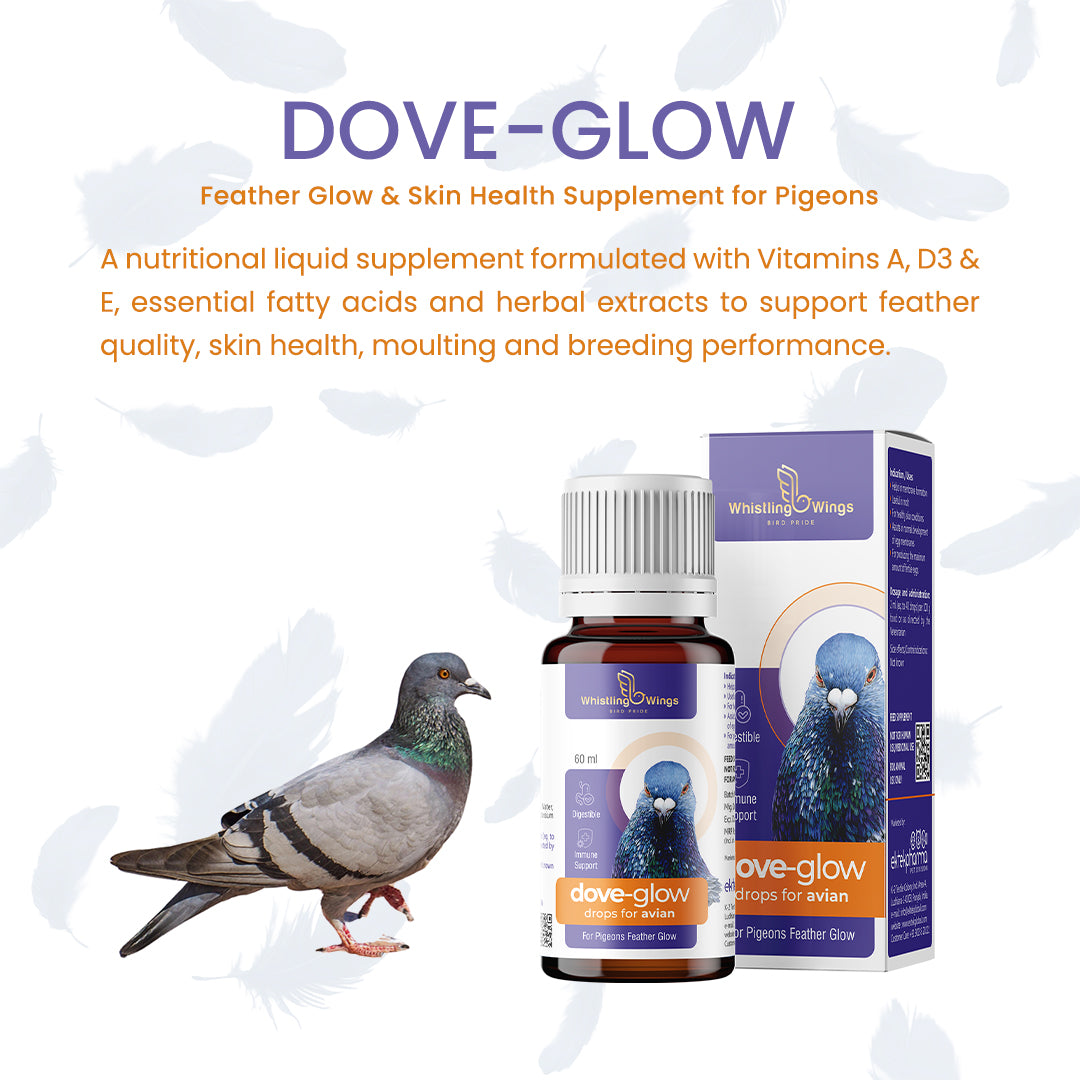 supplement-for-birds-skin-feather
