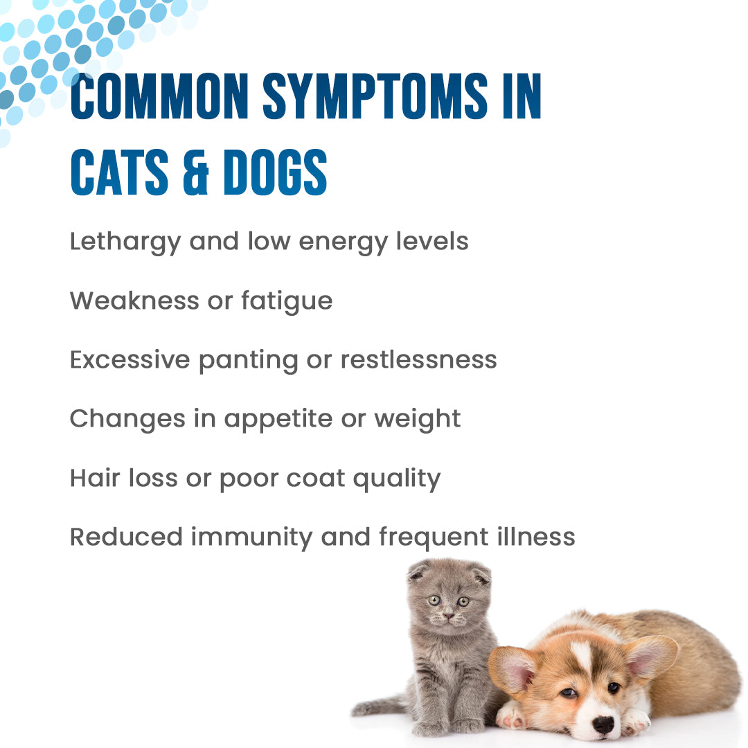 symptoms/signs to take adinatek drops