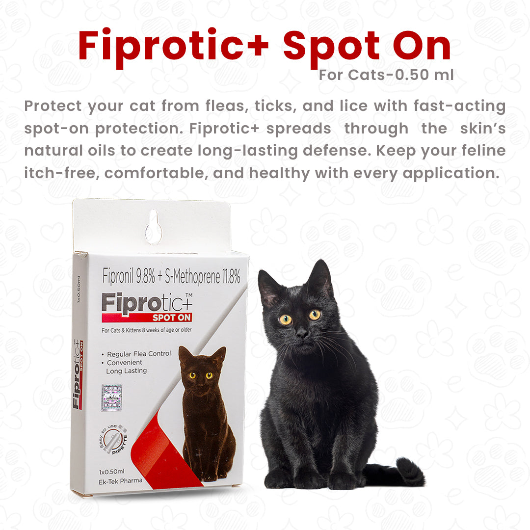 tick-control-for-cats