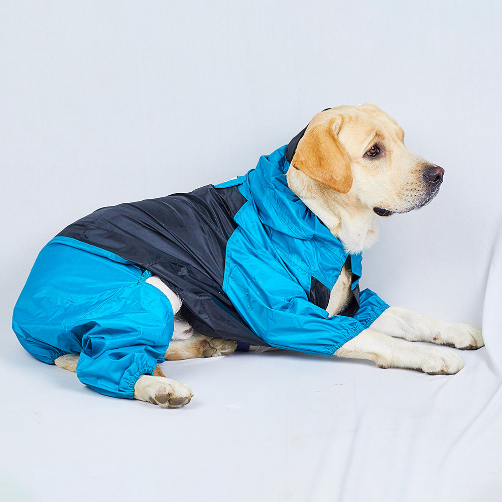 waterproof dog raincoat for rainy season