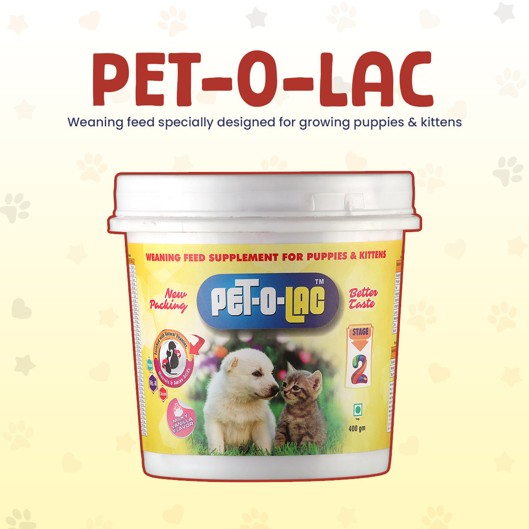 weaning-feed-for-puppies-and-kittens