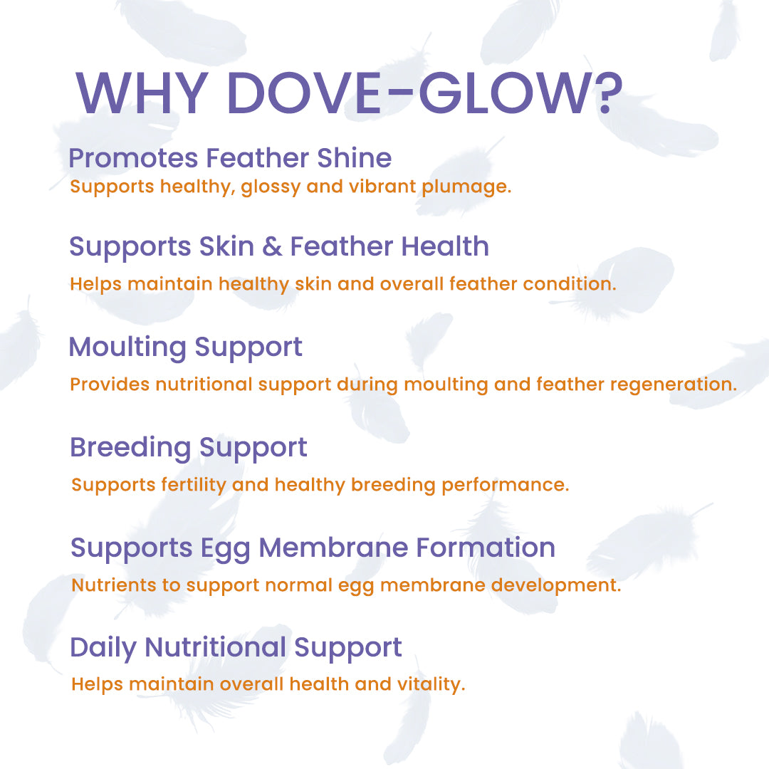 why-choose-Dove-glow-for-feather-shin-nutritional-support